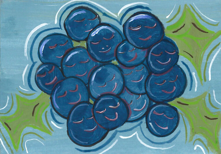 Happy Blueberries Happy Blueberries